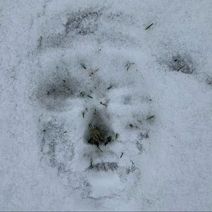 Meet your Posher, Sophie